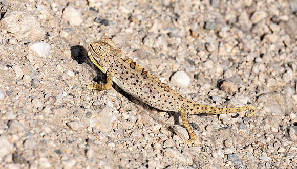 20220419_namibia-14209.jpg