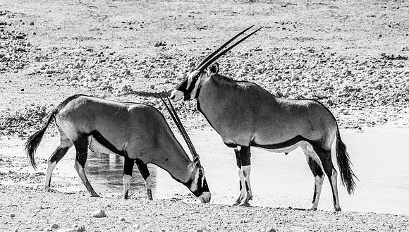 20220419_namibia-18391-Edit-2.jpg