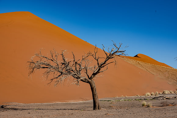 20220419_namibia-6.jpg