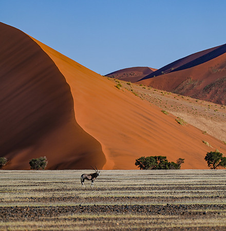 20220419_namibia-7160.jpg