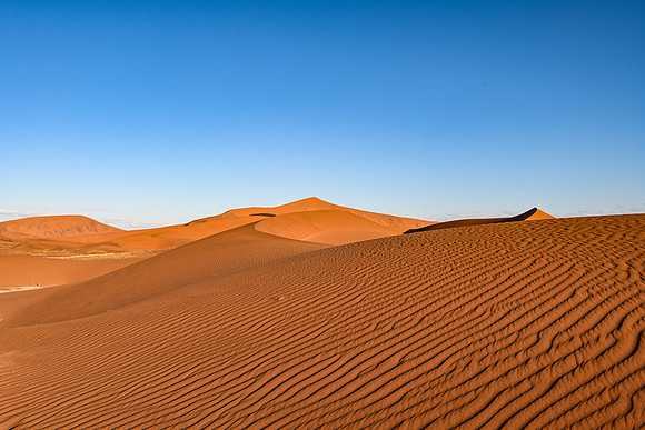 20220419_namibia-7662.jpg