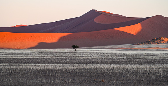 20220419_namibia-7557.jpg