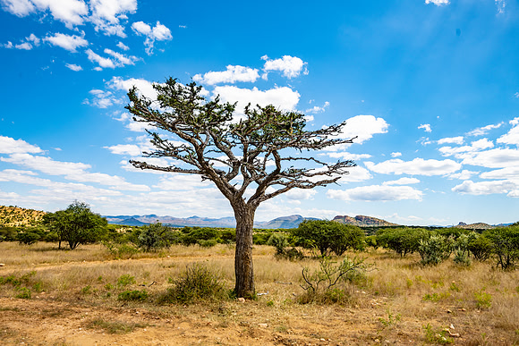 20220419_namibia-210.jpg