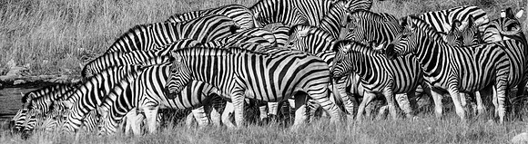 20220419_namibia-19091.jpg