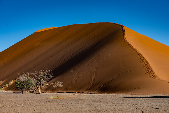 20220419_namibia-6982.jpg