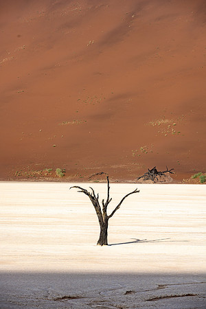 20220419_namibia-6236.jpg