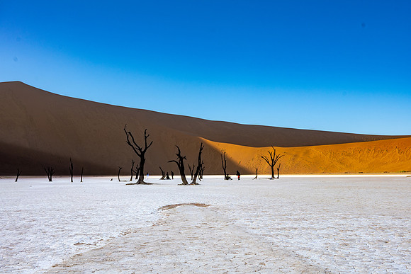 20220419_namibia-6380.jpg