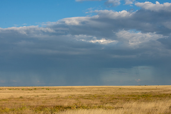 20220419_namibia-17562.jpg