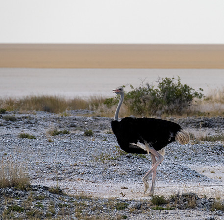 20220419_namibia-15789.jpg