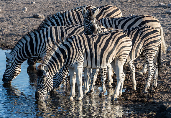 20220419_namibia-20276.jpg