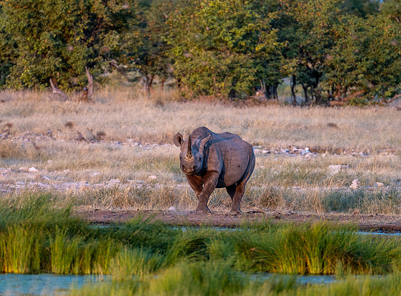 20220419_namibia-16140.jpg