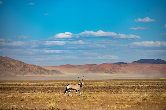 20220419_namibia-9153.jpg