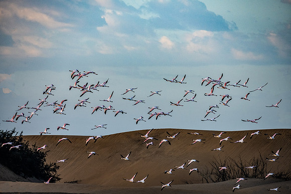 20220419_namibia-11898-Edit.jpg