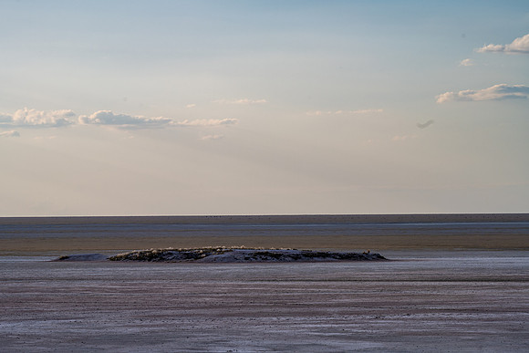 20220419_namibia-15653.jpg