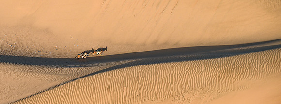 20220419_namibia-1584.jpg