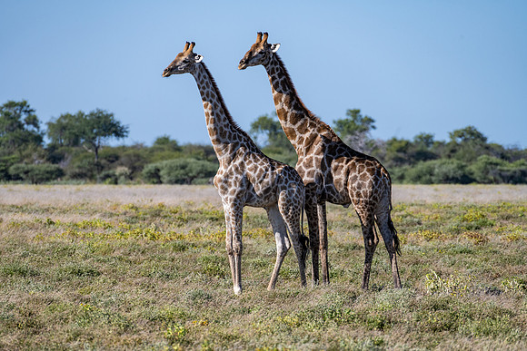 20220419_namibia-22064.jpg