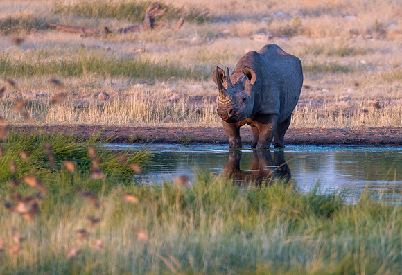 20220419_namibia-16152.jpg
