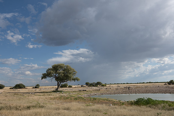 20220419_namibia-16949.jpg