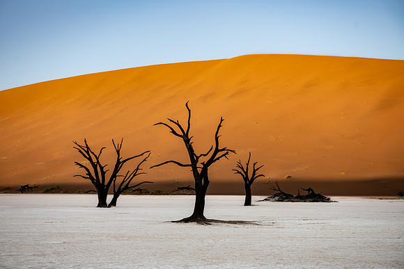 20220419_namibia-6400.jpg