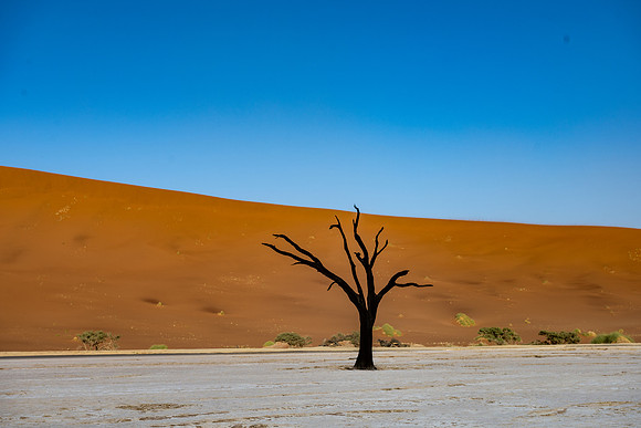 20220419_namibia-5156.jpg