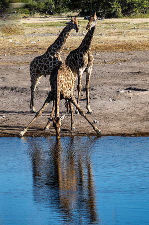 20220419_namibia-21363.jpg