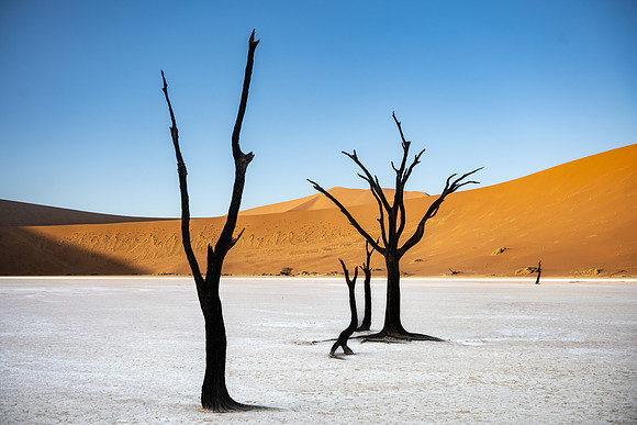 20220419_namibia-6726.jpg