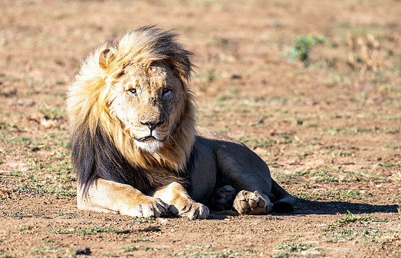 20220419_namibia-7336.jpg