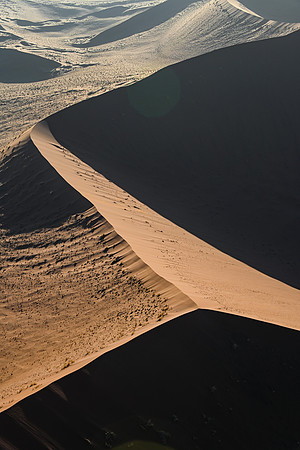 20220419_namibia-2262.jpg