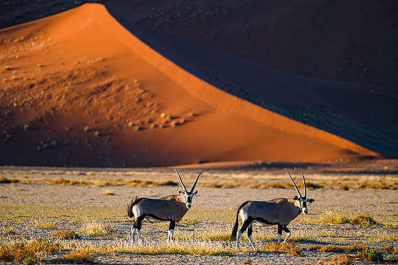20220419_namibia-3687.jpg