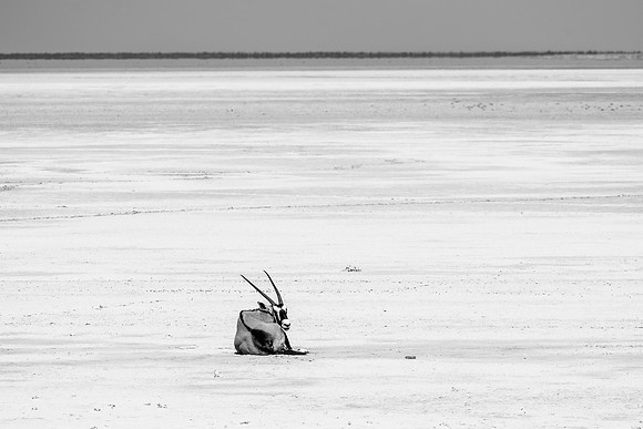 20220419_namibia-20521-2.jpg