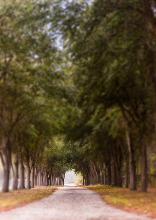 DSC_3987-Editatifab