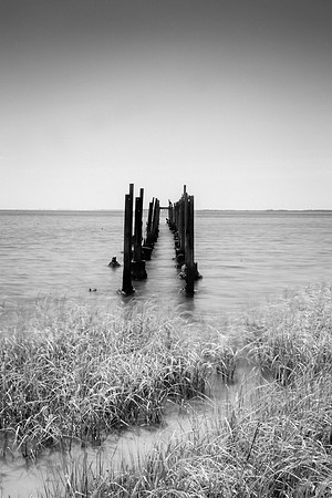 20150522_st_marks_park_0045