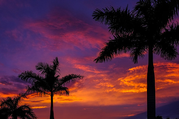 20150606_kenkou_sunset_0001-Edit-2
