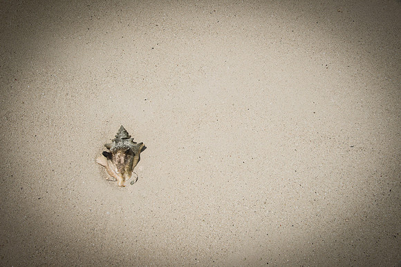 20150808_les_cat_cay_00512