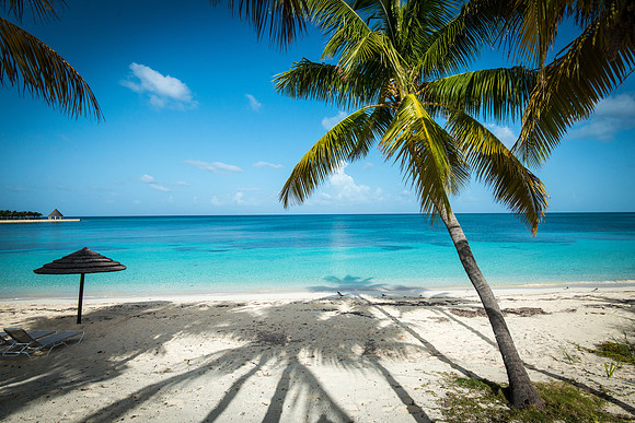 20140822_cat_cay_0211