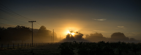 20151030_stuart_trees_mt_dora_sunset_0038