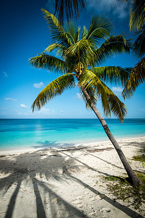 20140822_cat_cay_0210-Edit