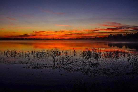 20151030_stuart_trees_mt_dora_sunset_0003
