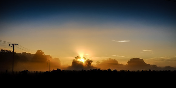 20151030_stuart_trees_mt_dora_sunset_0034