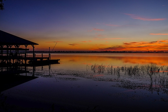 20151030_stuart_trees_mt_dora_sunset_0009