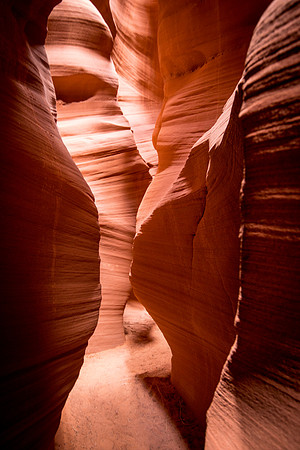 20140725_horseshoe_bend_0226