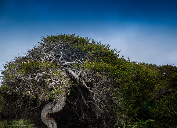 20170610_newport_beach_lba_0568-Edit.jpg