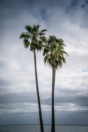 20170610_newport_beach_lba_0646.jpg