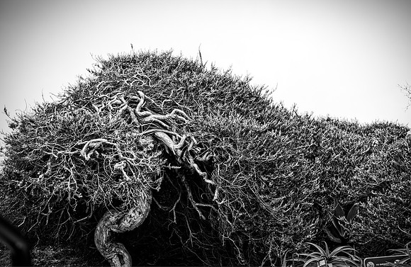 20170614_newport_beach_lba_0012.jpg