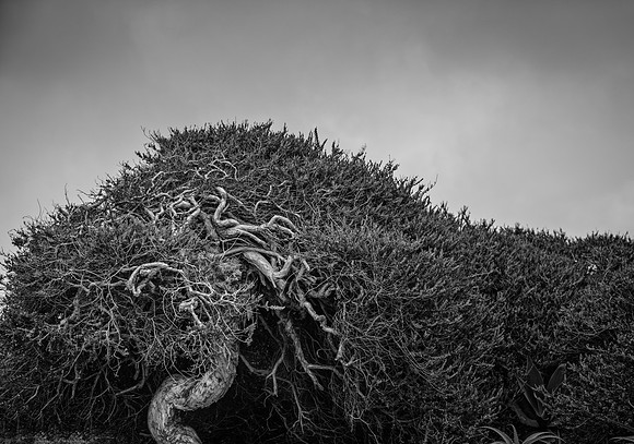 20170610_newport_beach_lba_0568-Edit-Edit.jpg