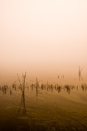 20141227_mount_dora_0054