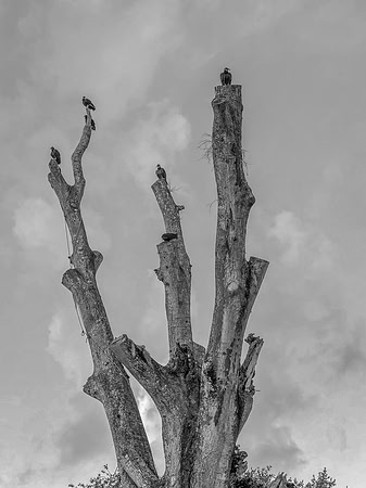 IMG_3113_3.jpg