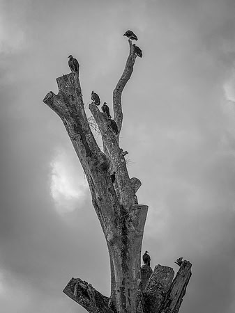IMG_3121_2-2.jpg