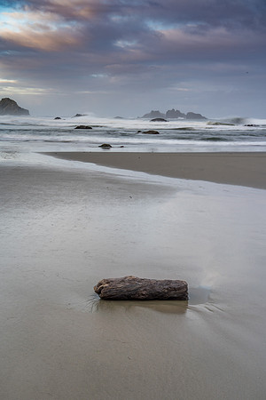 20180511_bandon_oregon_0786.jpg