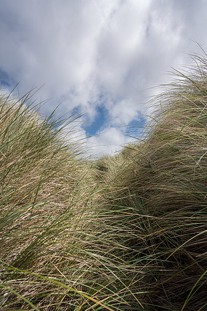 20180511_bandon_oregon_1149.jpg